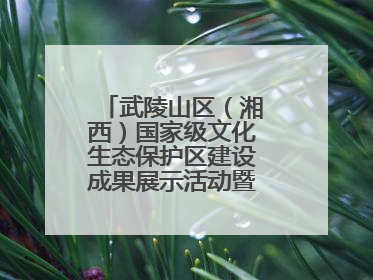 武陵山区（湘西）国家级文化生态保护区建设成果展示活动暨龙山县第十届舍巴日即将启幕