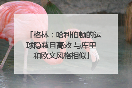 格林：哈利伯顿的运球隐蔽且高效 与库里和欧文风格相似