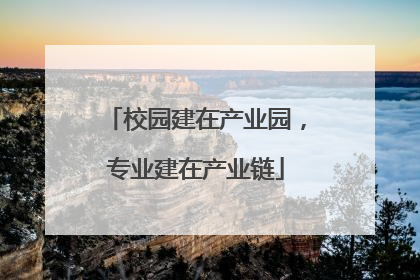 校园建在产业园，专业建在产业链