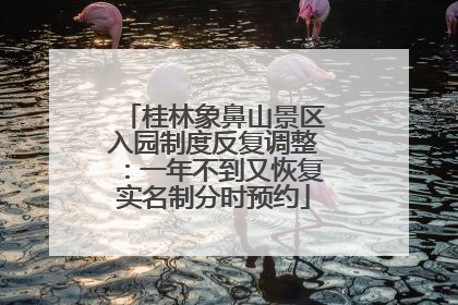 桂林象鼻山景区入园制度反复调整：一年不到又恢复实名制分时预约