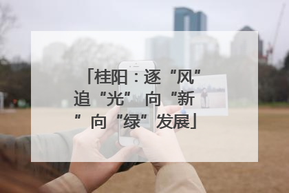 桂阳：逐“风”追“光” 向“新”向“绿”发展