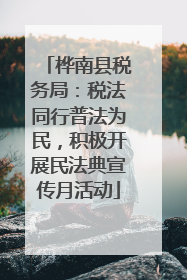 桦南县税务局：税法同行普法为民，积极开展民法典宣传月活动