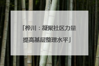 桦川：凝聚社区力量 提高基层整理水平
