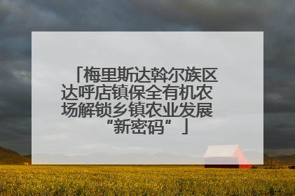 梅里斯达斡尔族区达呼店镇保全有机农场解锁乡镇农业发展“新密码”