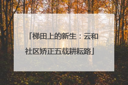 梯田上的新生：云和社区矫正五载耕耘路