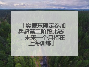 樊振东确定参加乒超第二阶段比赛，未来一个月将在上海训练