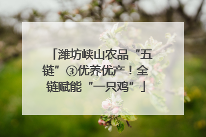 潍坊峡山农品“五链”③优养优产！全链赋能“一只鸡”