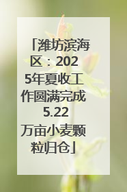 潍坊滨海区：2025年夏收工作圆满完成 5.22万亩小麦颗粒归仓