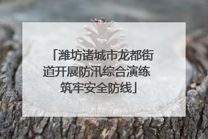 潍坊诸城市龙都街道开展防汛综合演练 筑牢安全防线