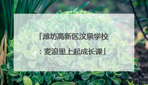 潍坊高新区汶泉学校：麦浪里上起成长课