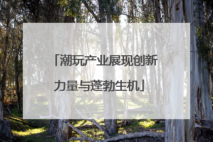 潮玩产业展现创新力量与蓬勃生机