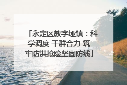 永定区教字垭镇：科学调度 干群合力 筑牢防洪抢险坚固防线