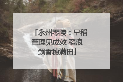 永州零陵：早稻管理见成效 稻浪飘香穗满田