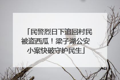 民警烈日下追回村民被盗西瓜！梁子湖公安小案快破守护民生