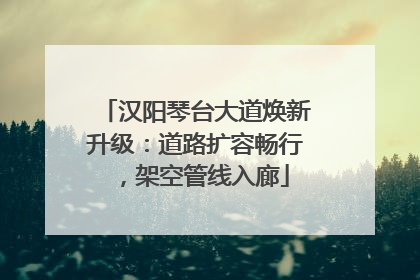 汉阳琴台大道焕新升级：道路扩容畅行，架空管线入廊
