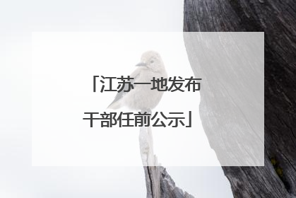 江苏一地发布干部任前公示