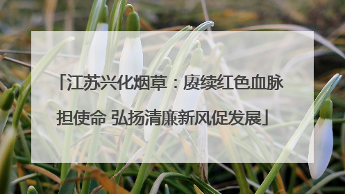 江苏兴化烟草：赓续红色血脉担使命 弘扬清廉新风促发展