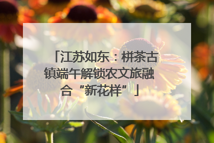 江苏如东：栟茶古镇端午解锁农文旅融合“新花样”