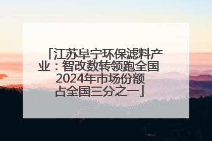 江苏阜宁环保滤料产业：智改数转领跑全国 2024年市场份额占全国三分之一