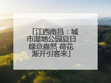 江西南昌：城市湿地公园夏日绿意盎然 荷花渐开引客来