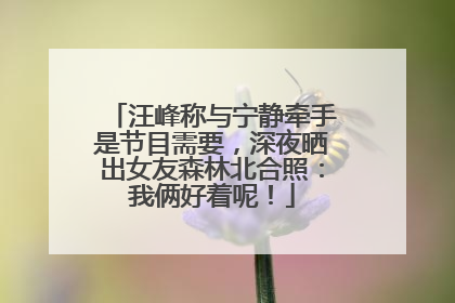 汪峰称与宁静牵手是节目需要，深夜晒出女友森林北合照：我俩好着呢！