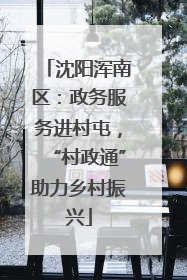 沈阳浑南区：政务服务进村屯，“村政通”助力乡村振兴