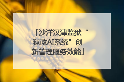 沙洋汉津监狱“狱政AI系统”创新管理服务效能