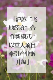 沪苏“飞地经济”合作新模式：以重大项目牵引产业链升级