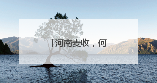 河南麦收，何以“顶流”？