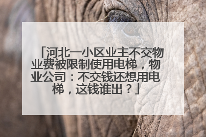 河北一小区业主不交物业费被限制使用电梯，物业公司：不交钱还想用电梯，这钱谁出？