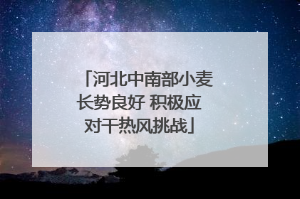 河北中南部小麦长势良好 积极应对干热风挑战