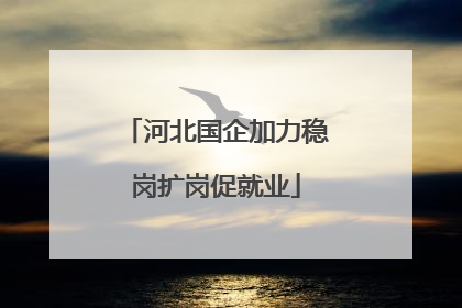 河北国企加力稳岗扩岗促就业