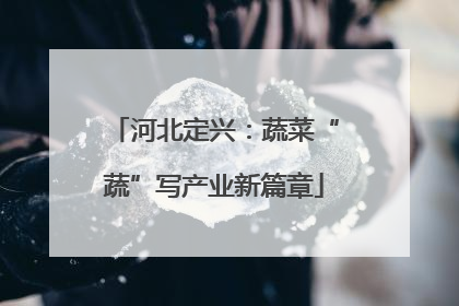 河北定兴：蔬菜“蔬”写产业新篇章