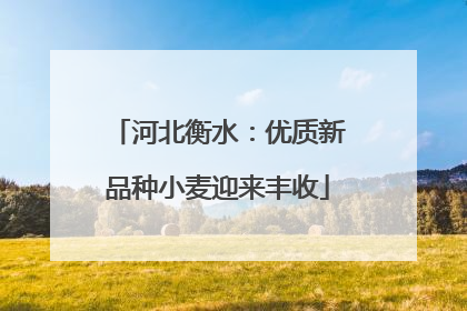河北衡水：优质新品种小麦迎来丰收