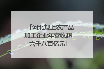河北规上农产品加工企业年营收超六千八百亿元