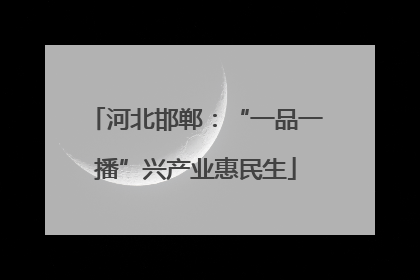 河北邯郸：“一品一播”兴产业惠民生