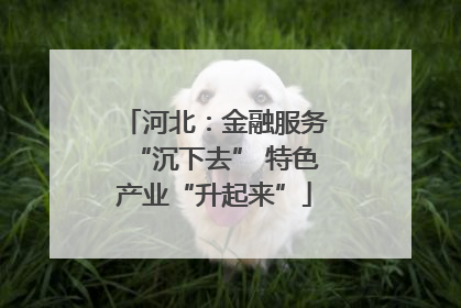河北：金融服务“沉下去” 特色产业“升起来”