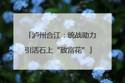 泸州合江：统战助力引活石上“致富花”