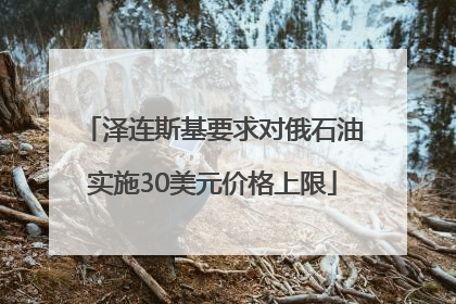 泽连斯基要求对俄石油实施30美元价格上限