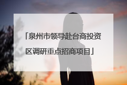 泉州市领导赴台商投资区调研重点招商项目