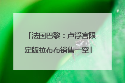 法国巴黎：卢浮宫限定版拉布布销售一空