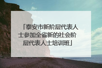 泰安市新阶层代表人士参加全省新的社会阶层代表人士培训班