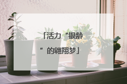 活力“银龄”的翱翔梦