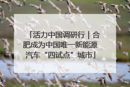 活力中国调研行｜合肥成为中国唯一新能源汽车“四试点”城市