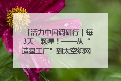 活力中国调研行｜每3天一颗星！——从“造星工厂”到太空织网的“银河速度”