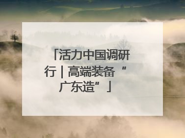 活力中国调研行｜高端装备“广东造”