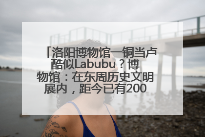 洛阳博物馆一铜当卢酷似Labubu？博物馆：在东周历史文明展内，距今已有2000多年历史