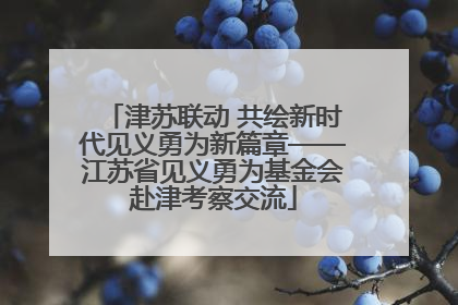 津苏联动 共绘新时代见义勇为新篇章——江苏省见义勇为基金会赴津考察交流