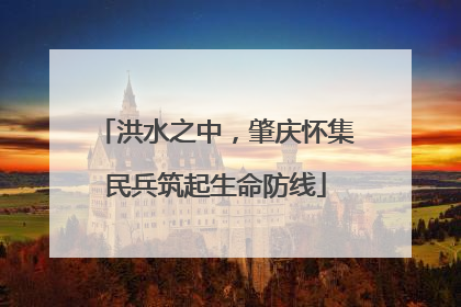 洪水之中，肇庆怀集民兵筑起生命防线