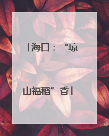 海口：“琼山福稻”香